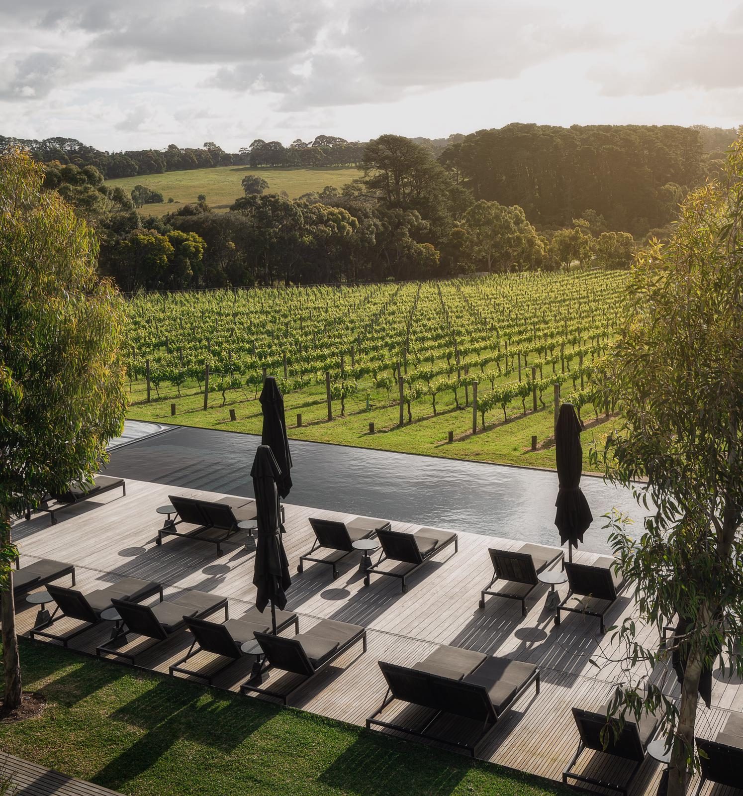 Jackalope Hotel, the infinity pool deck looking over the vineyard